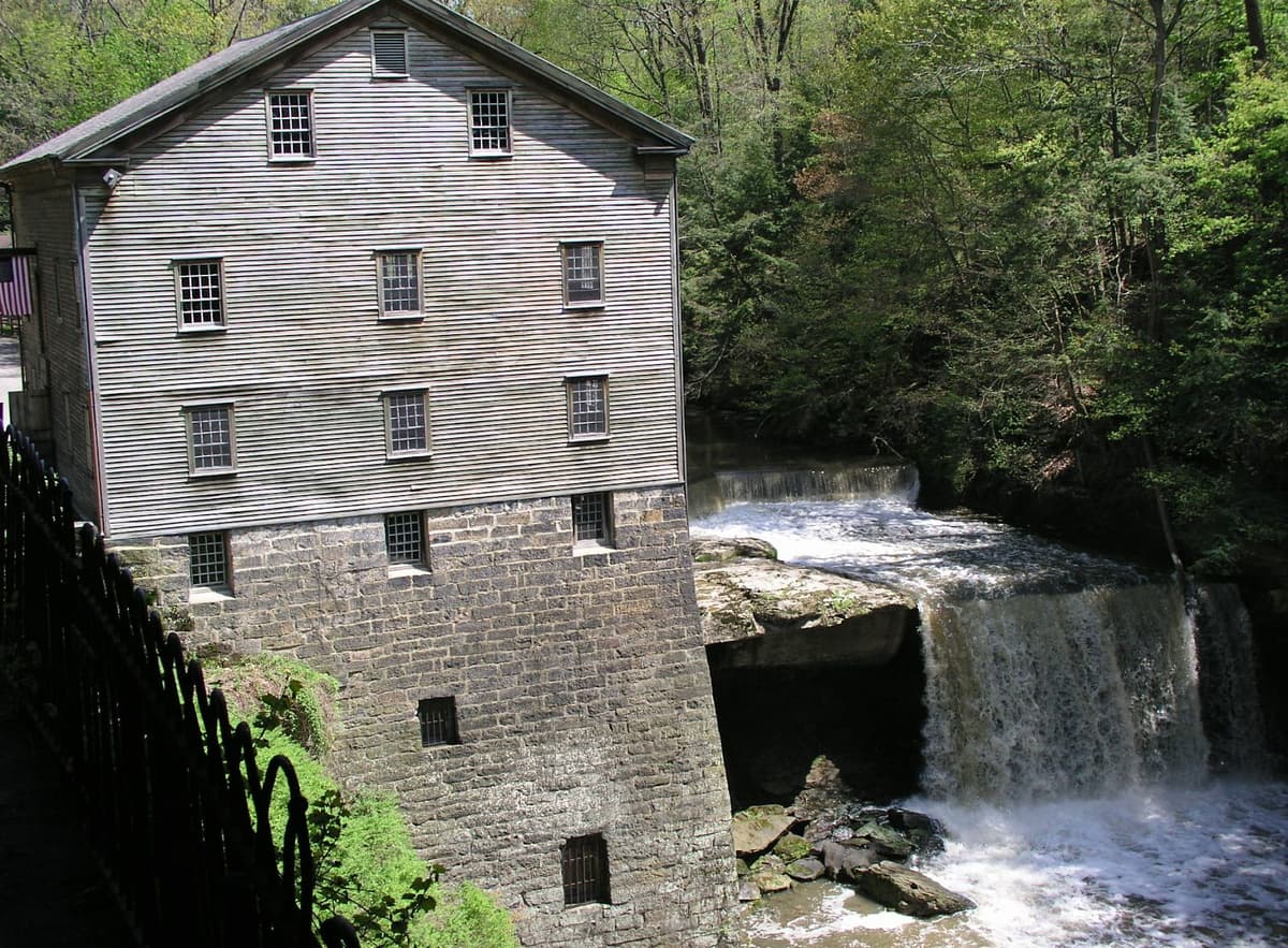 Article content image