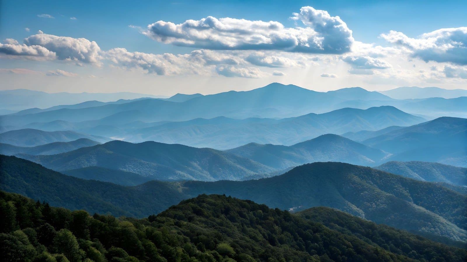 Nursing Home Abuse Lawyers Serving Kentucky’s Eastern Coalfield Regions | Michael Hill Trial Law