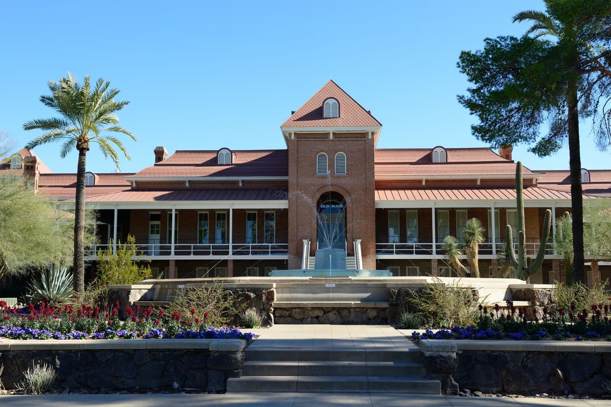 Article content image