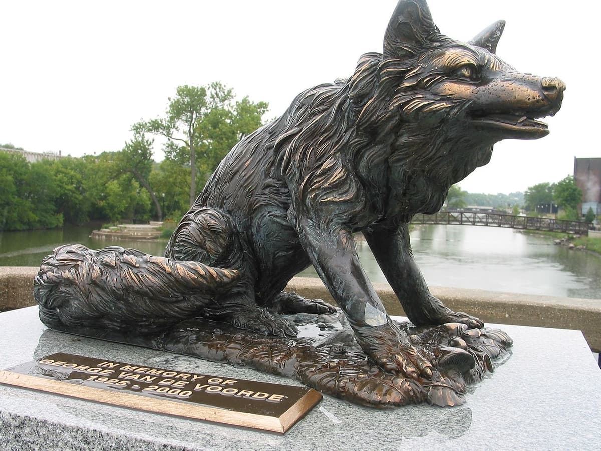 Article content image