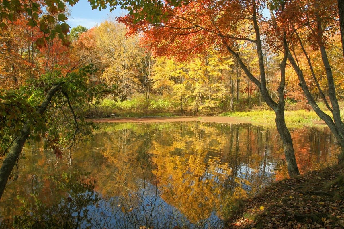 Article content image