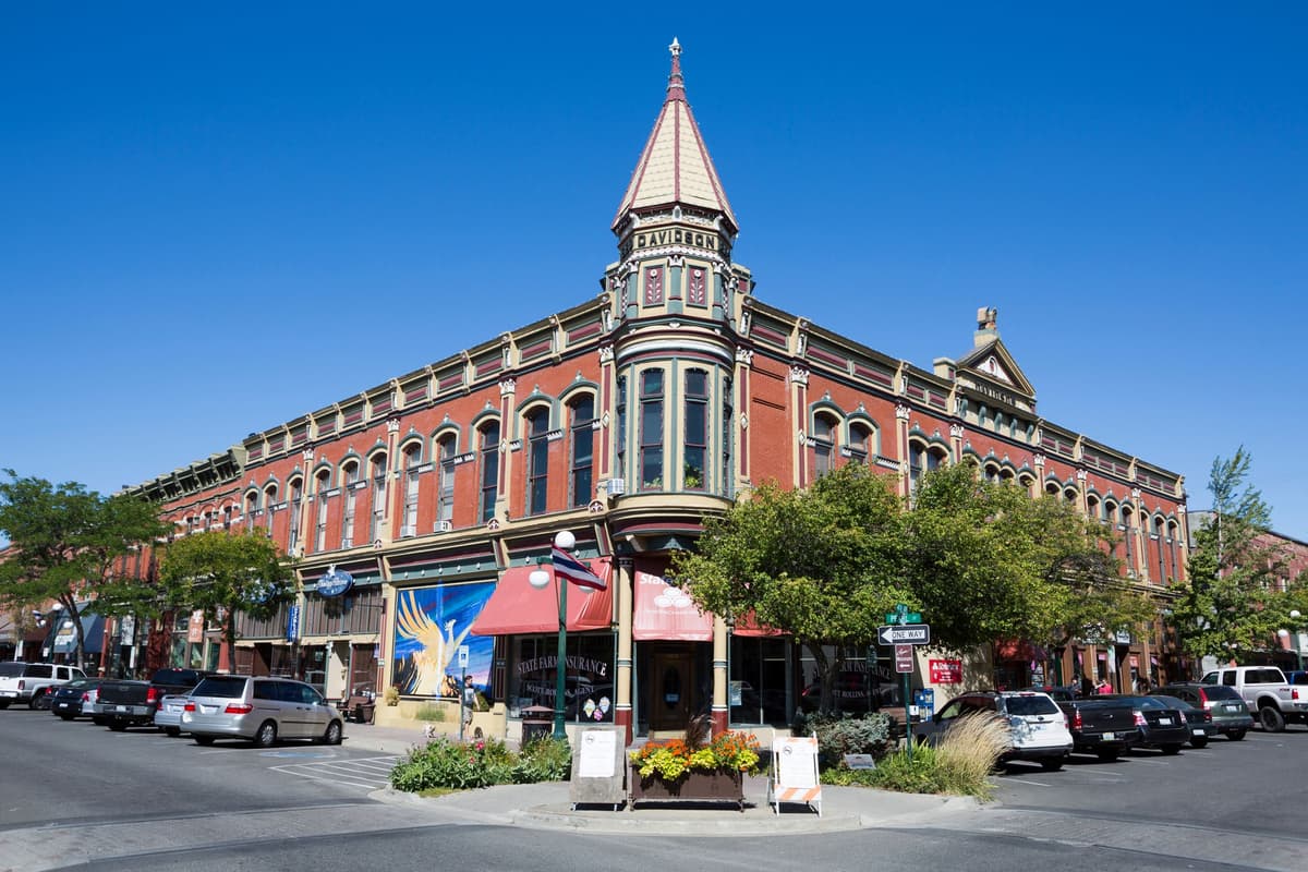 Article content image