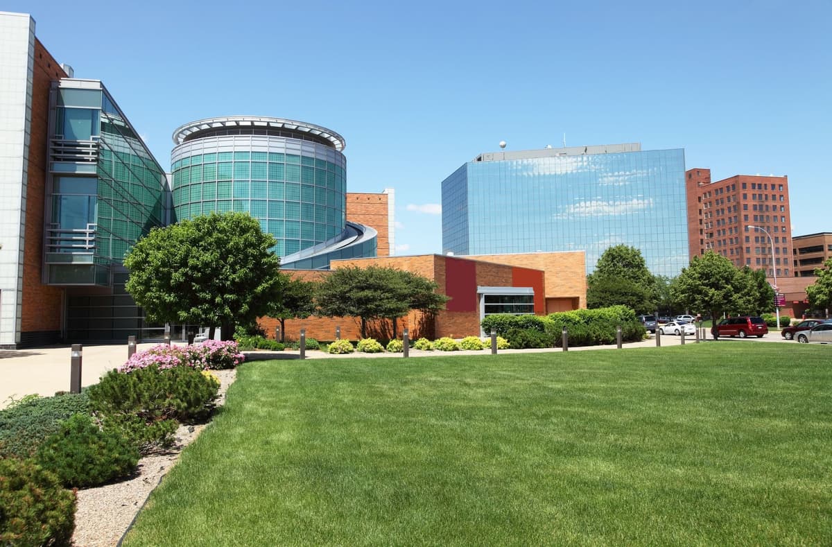 Article content image