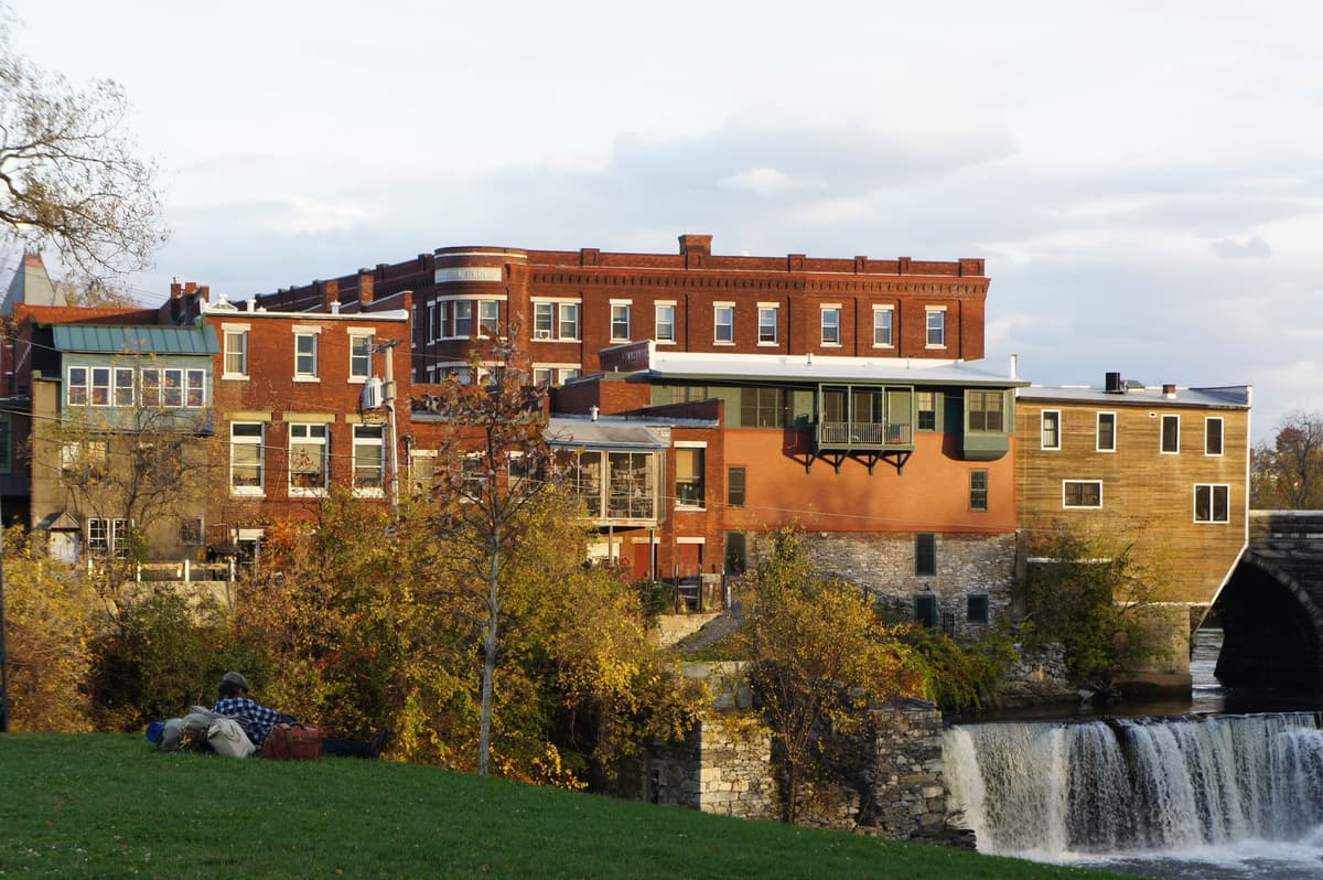 Article content image