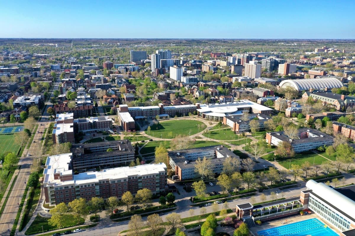 Article content image