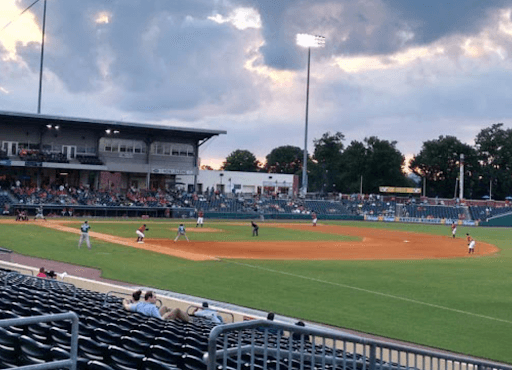 Article content image