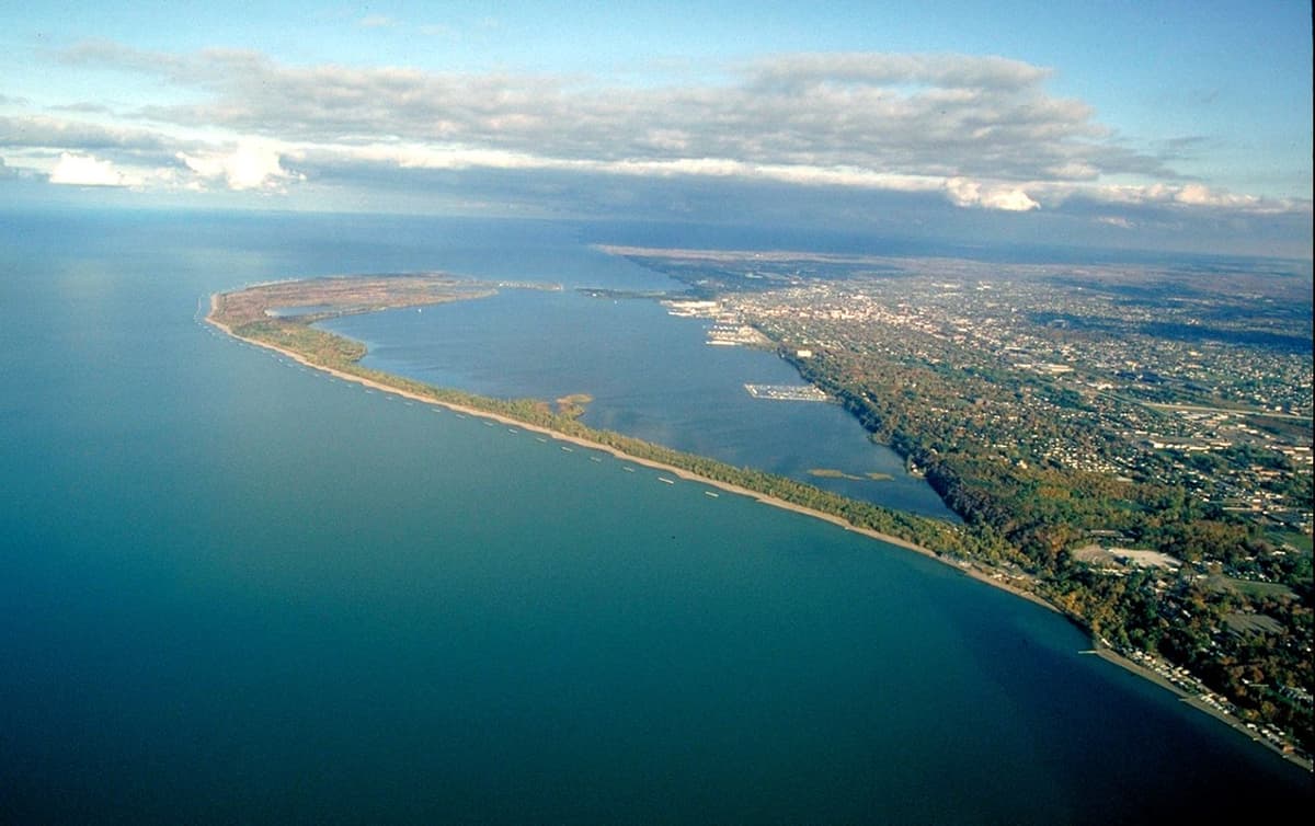 Article content image